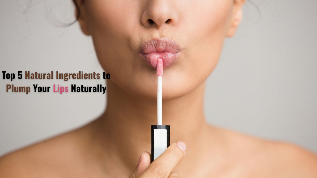 Lip Plumer