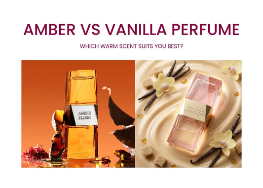 Amber vs Vanilla Perfume: Which Warm Scent Suits You Best?