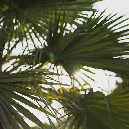 Strawberry Body And Hair Mist